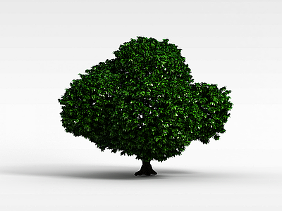 3d园林景观树模型