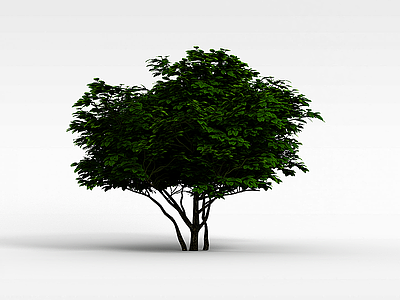 园林景观树木模型3d模型