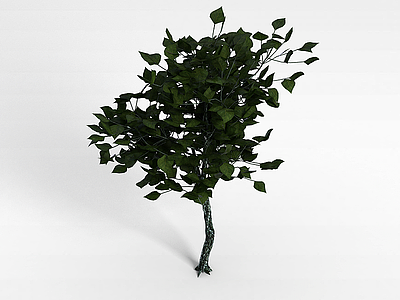 3d大叶灌木模型