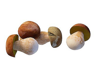3d蘑菇模型