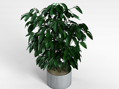 盆栽模型3d模型