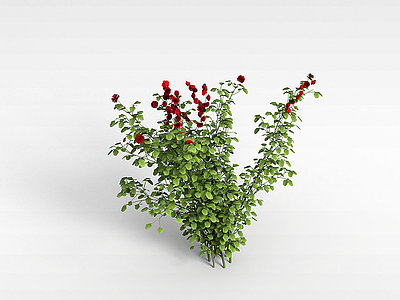 3d红花灌木模型