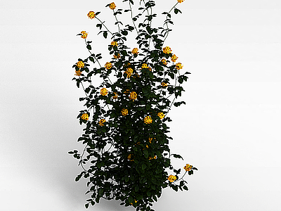 3d黄色小花模型
