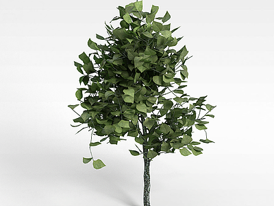 大叶片灌木模型3d模型