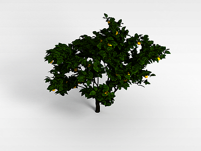 3d阔叶树模型