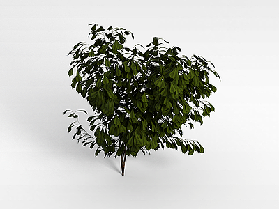 3d绿色灌木模型