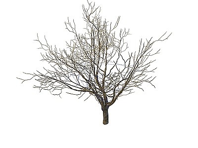 枯树模型3d模型