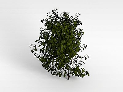 绿色灌木模型3d模型