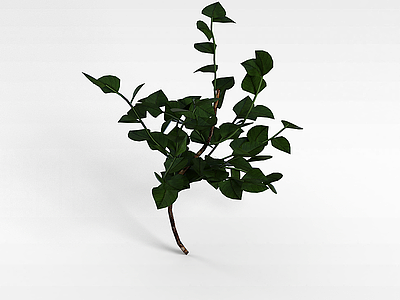 3d大叶片灌木模型
