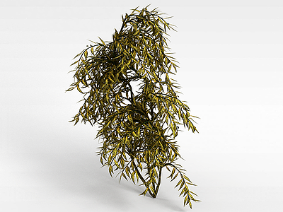 枯叶灌木模型3d模型