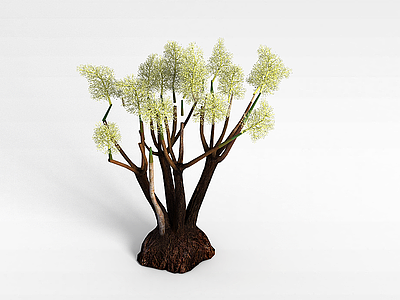 仿真灌木模型3d模型
