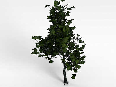 3d观赏灌木模型