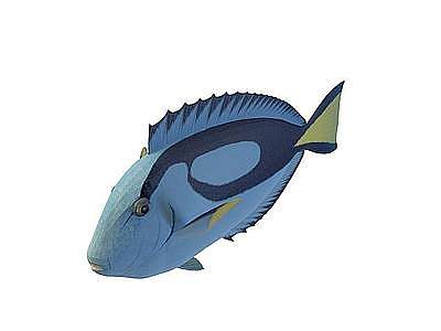 3d荧光鱼模型