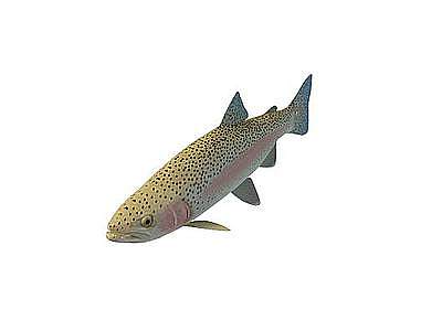 3d石斑鱼模型