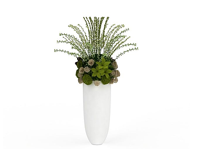 室内装饰植物模型3d模型
