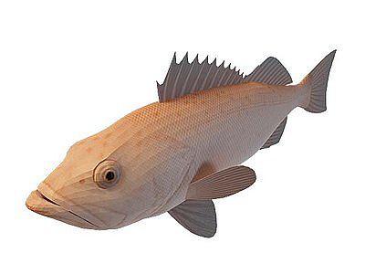 小金鱼模型3d模型