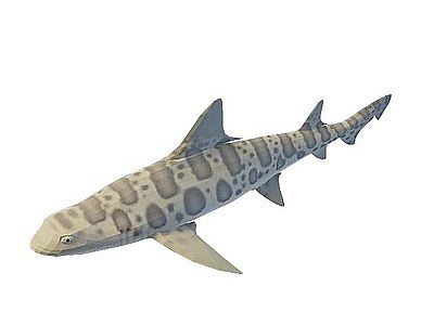 飞机鱼模型3d模型