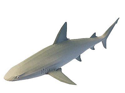 鱼类模型3d模型