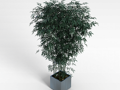 3d绿色室内植物模型