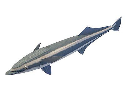 3d海鱼免费模型