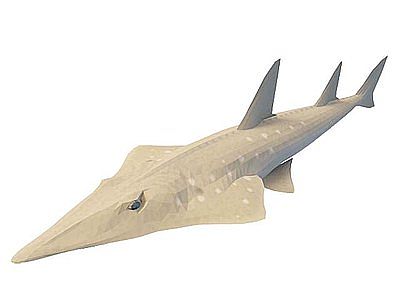 尖嘴鱼模型3d模型