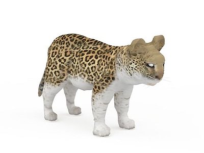 小豹子模型3d模型