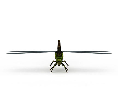 绿蜻蜓模型