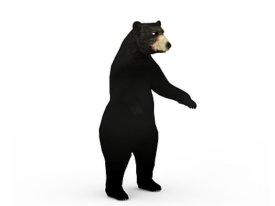 3d黑熊免费模型