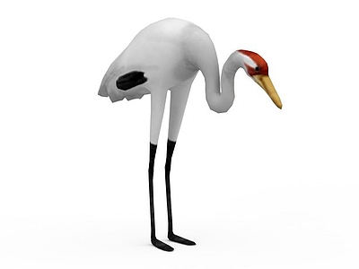 白鹤模型