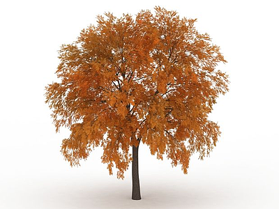秋叶树木模型3d模型