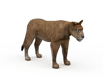 母狮模型3d模型
