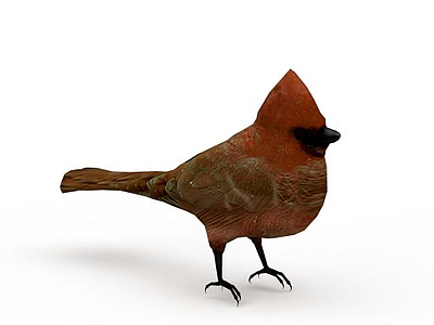 红色小鸟模型3d模型
