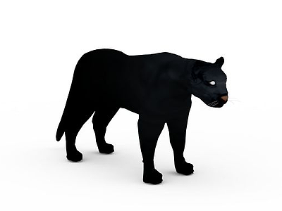 3d黑豹免费模型