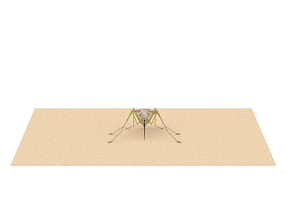 蚊子模型3d模型