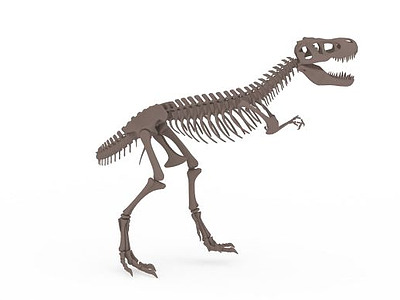 3d恐龙化石免费模型