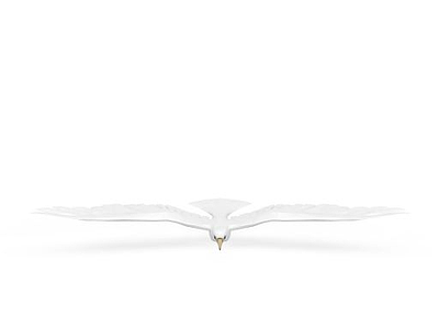 海鸥模型