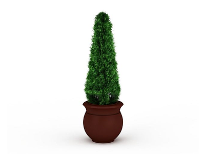 3d绿松树盆栽模型