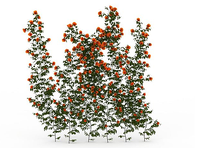 3d橘色景观花绿植免费模型