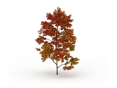 3d银杏树模型