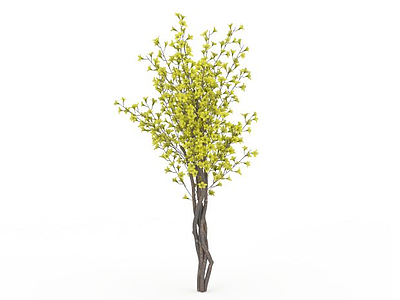 黄色树木模型3d模型
