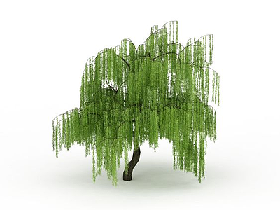 园林柳树模型3d模型