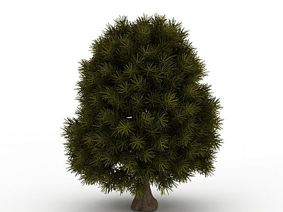 3d茂密松树模型