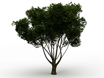 公园景观树模型3d模型