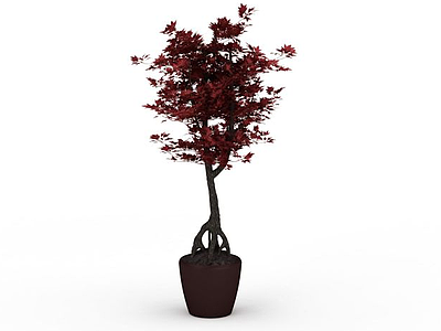 红色枫树模型3d模型