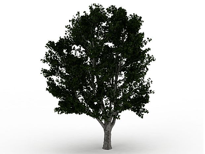 3d<font class='myIsRed'>绿化树木</font>免费模型