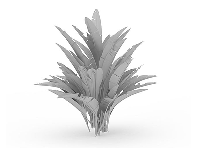 绿化观赏植物模型3d模型