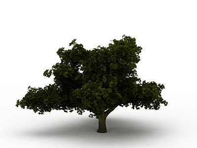 矮树模型3d模型