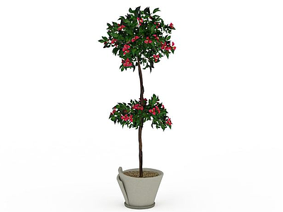 玫红花朵绿植模型3d模型