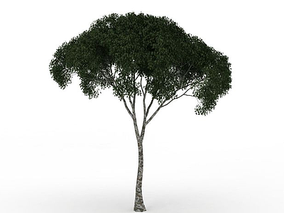 3d茂盛绿叶树免费模型