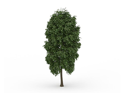 3d绿色银杏树免费模型